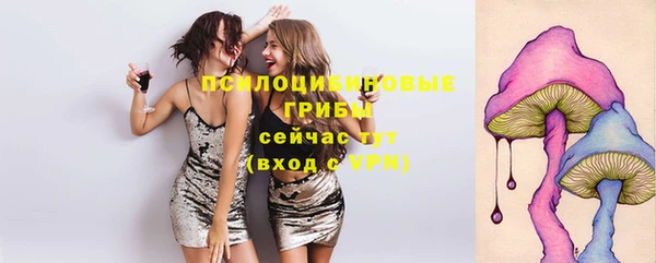 гашик Баксан